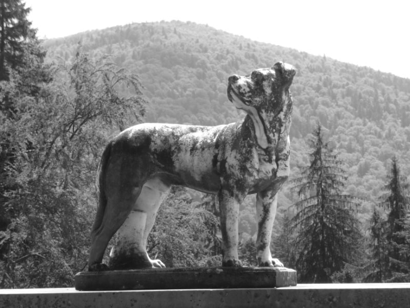 One of a pair of marble dogs in the grounds of Peles Castle in the Carpathian mountains, Sinaia, Romania. 
