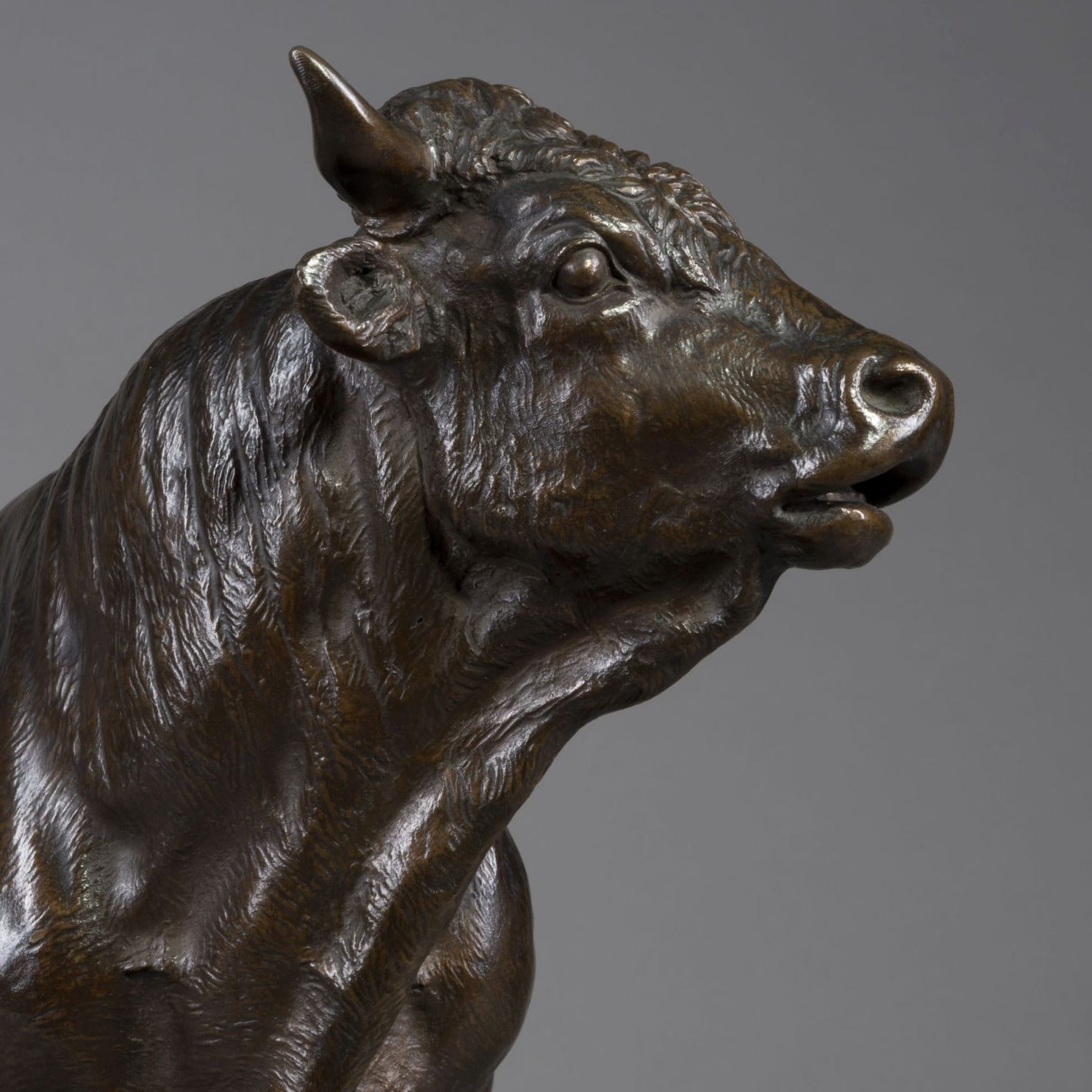A Pair of Large and Finely Patinated Bronze Models Of A Cow and A Bull - Image 4