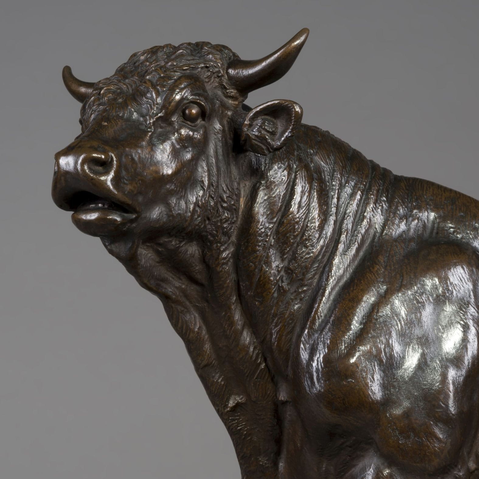 A Pair of Large and Finely Patinated Bronze Models Of A Cow and A Bull - Image 5
