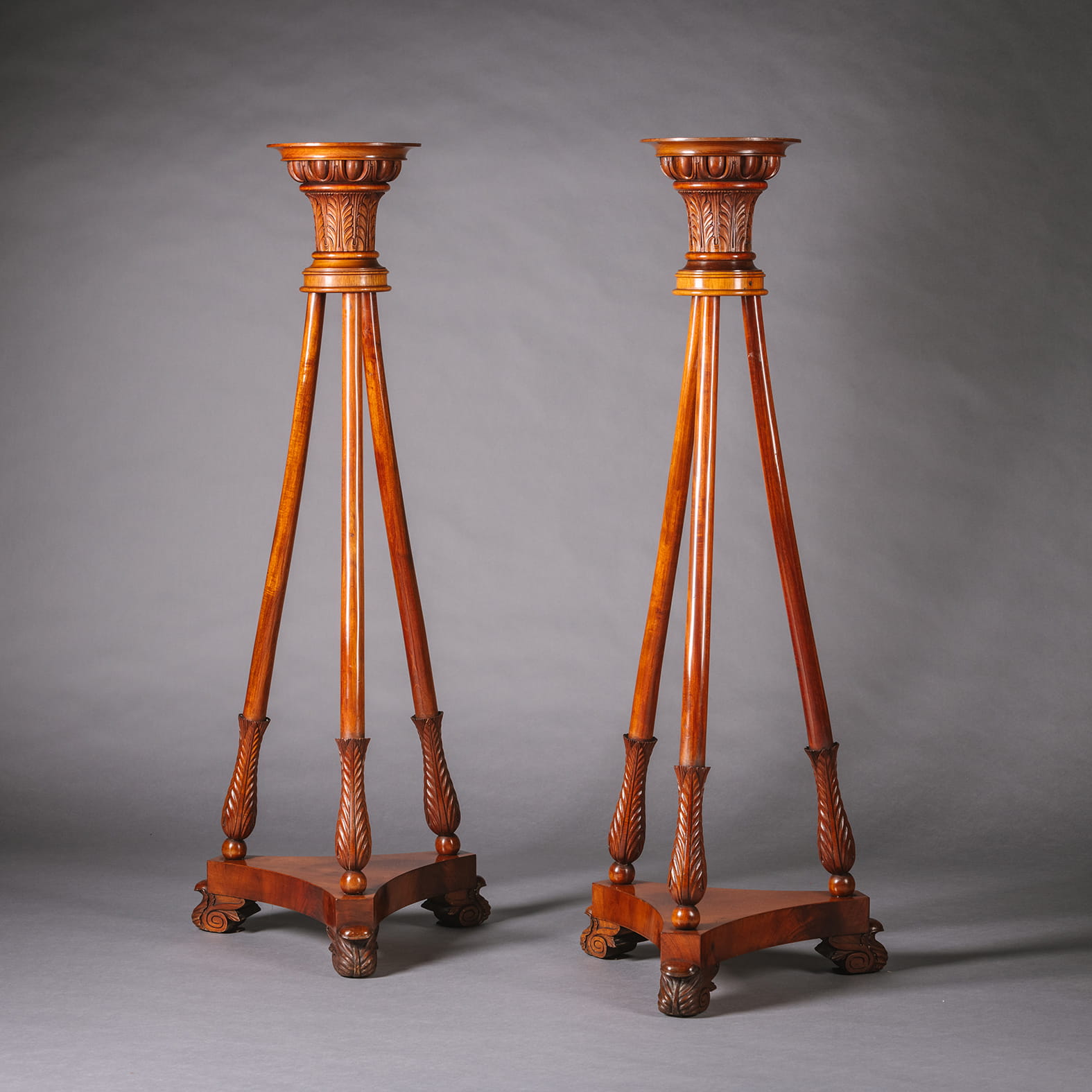 A Pair of North European Mahogany Pedestals - Image 4